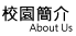 ն²